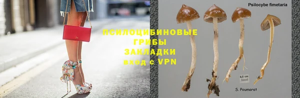 ECSTASY Верхний Тагил