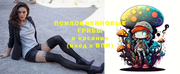 ECSTASY Верхний Тагил
