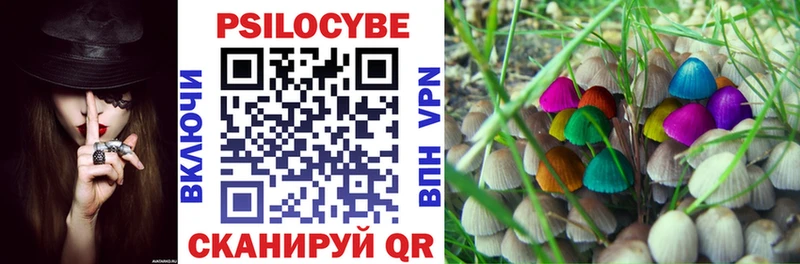 Псилоцибиновые грибы GOLDEN TEACHER Ростов
