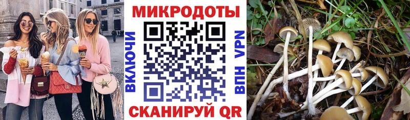 Купить  Ростов  Псилоцибиновые грибы Magic Shrooms 